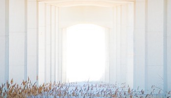 Energie update Witte Wereldoverbrugger levenspad 3-15 juni 2020: Tips om (los) te laten